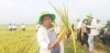 Khó khăn trong phát triển nông nghiệp - nông thôn Quảng Nam
