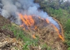 Chủ động phòng cháy rừng đang đặt ra ở mức cao tại Quảng Nam. Ảnh: A.N