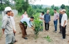 Dấu ấn nông dân xứ Quảng: Nỗ lực phát triển kinh tế