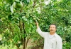 Quảng Nam phát huy hiệu quả nguồn vốn Quỹ hỗ trợ nông dân