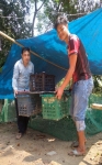 Chi hội thôn Ga Lêê, xã Tà Bhing trao gà giống cho HVND  BLúp Trới