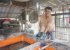 Anh Hoà bắt đầu nuôi lươn không bùn từ năm 2019. Ảnh: T.N
