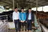 Mô hình chăn nuôi gia trại Bò 3B của anh Võ Văn Quang (đứng giữa) xã Tam Lộc, huyện Phú Ninh