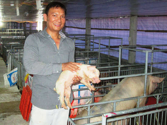 Với mô hình chăn nuôi heo khép kín, mỗi năm anh Võ Ngọc Sơn (Đại Lộc) thu lãi 6 tỷ đồng.