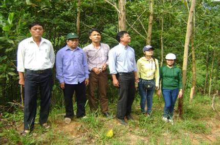Chủ tịch Hội Nông dân thị trấn Prao để vào thăm rừng keo của ông Ating Đhân