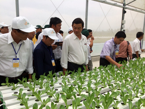 Mỗi năm người Việt Nam chi hơn 3.000 tỷ đồng cho sản phẩm hữu cơ. ảnh: Quốc Hải