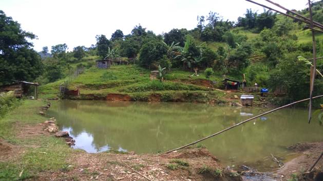 Ảnh. Mô hình làm ao nuôi cá của anh Pơloong Thái ở thôn Dầm I, xã Tr’hy