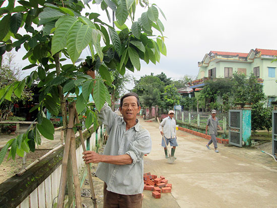 Tại các khu dân cư nông thôn mới kiểu mẫu, cây xanh được trồng dọc hai bên trục đường chính. Ảnh: VĂN SỰ