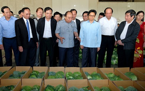 Thủ tướng Nguyễn Xuân Phúc cùng các đại biểu thăm mô hình sản xuất, chế biến nông sản xuất khẩu hộ anh Tăng Xuân Trường, Gia Lộc, Hải Dương