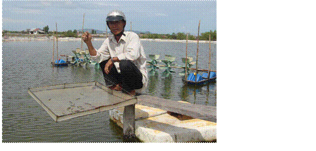 Ông Hòa đang theo dõi sự phát triển của tôm tại hồ nuôi nhà mình