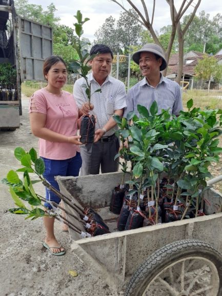 Chủ tịch HND xã Phan Đình Phùng trao cây giống cho hội viên nông dân