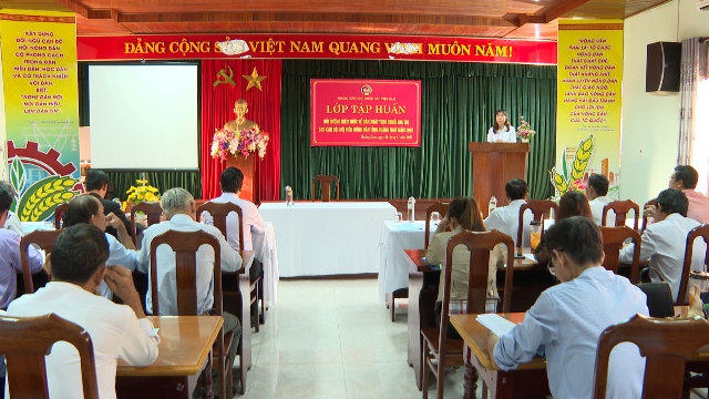 Đ.c Lê Thị Minh Tâm - Chủ tịch HND tỉnh khai mạc lớp tập huấn