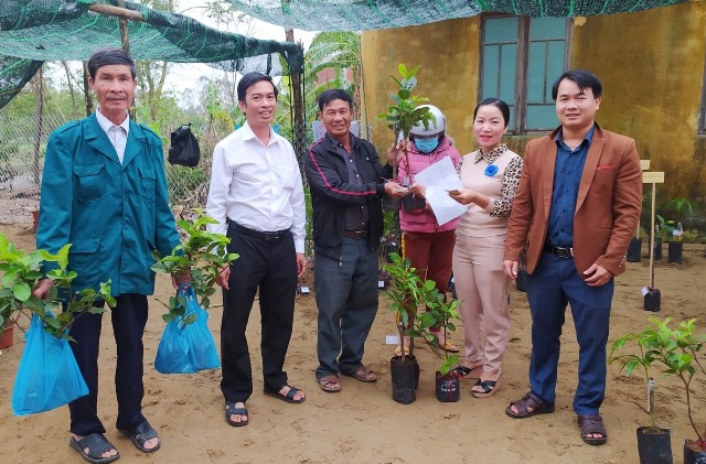 Nông dân phường Điện An chọn mua cây giống tại mô hình “Vườn cây nông dân”. Ảnh: N.T