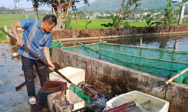 Một mô hình nuôi cá nước ngọt của nông dân xã Bình Lâm. Ảnh: VĂN MINH