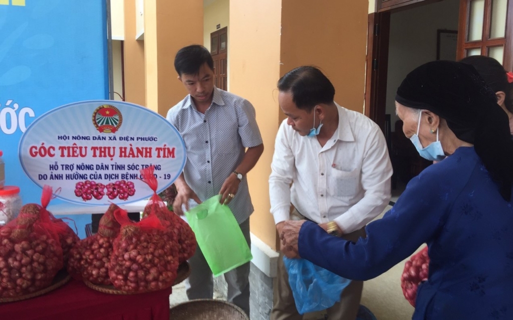 Trong 10 ngày, HND thị xã Điện Bàn tiêu thụ hơn 10 tấn hành tím Sóc Trăng