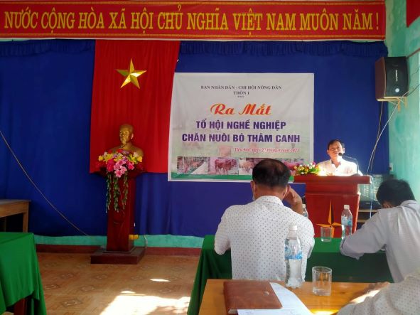 Tiên Sơn, Tiên Phước ra mắt tổ hội nghề nghiệp nuôi bò thâm canh