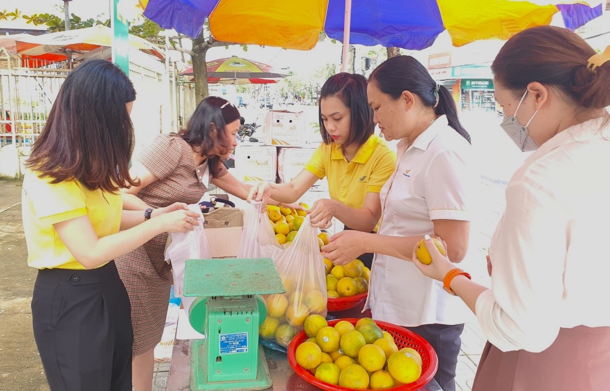 Sản phẩm cam vàng Hà Giang được bán tại số 02 Phan Bội Châu,TP.Tam Kỳ từ ngày 22/11 - 2/12.