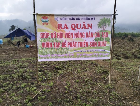 HND xã Phước Mỹ, Phước Sơn hỗ trợ nông dân cải tạo vườn tạp
