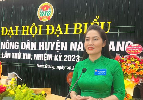 Đ/c Thái Thị Bích Phin - Phó Chủ tịch HND tỉnh phát biểu chỉ đạo Đại hội
