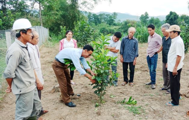 Tập huấn chuyển giao kỹ thuật trồng và chăm sóc cây ăn quả cho nông dân. Ảnh: PV