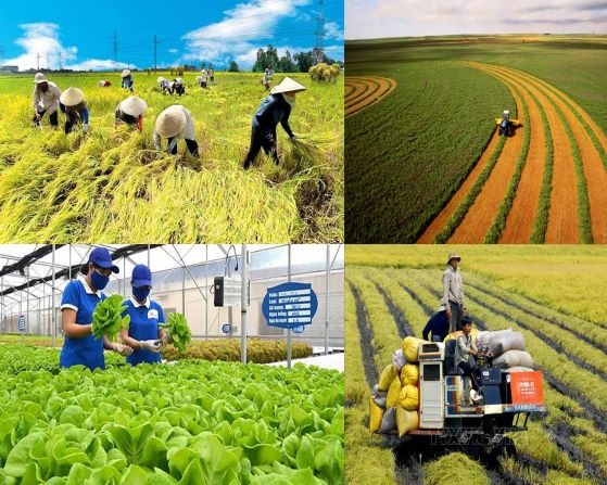 Thủ tướng Chính phủ Phạm Minh Chính yêu cầu các Bộ ngành, địa phương liên quan thực hiện các giải pháp hỗ trợ nông dân, phát triển nông nghiệp, kinh tế nông thôn bền vững.