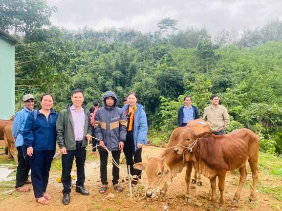 Dự án chăn nuôi bò sinh sản tạo điều kiện để người dân xã Trà Ka vươn lên thoát nghèo. Ảnh: TÚ VÂN